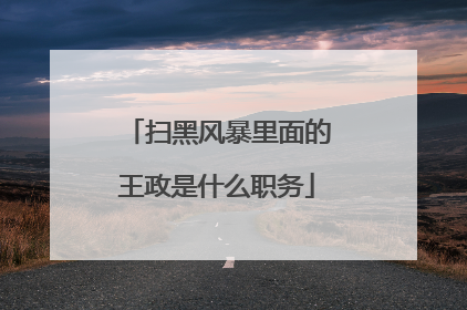 扫黑风暴里面的王政是什么职务