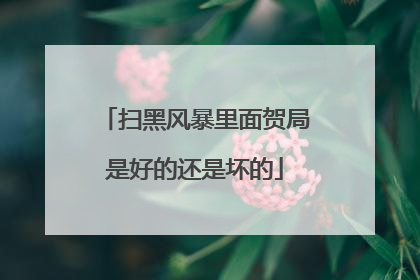 扫黑风暴里面贺局是好的还是坏的