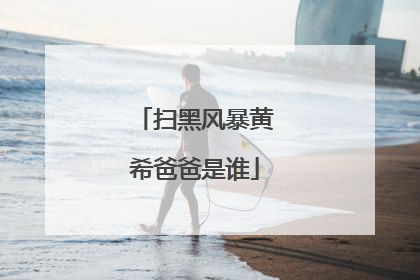 扫黑风暴黄希爸爸是谁
