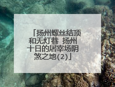 扬州螺丝结顶和无灯巷 扬州十日的屠宰场阴煞之地(2)