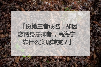 扮第三者成名，却因恋情身患抑郁，高海宁靠什么实现转变？
