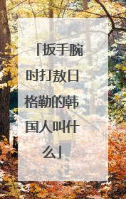 扳手腕时打敖日格勒的韩国人叫什么