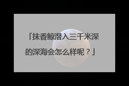 抹香鲸潜入三千米深的深海会怎么样呢?