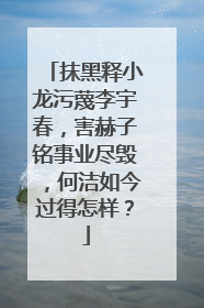 抹黑释小龙污蔑李宇春，害赫子铭事业尽毁，何洁如今过得怎样？