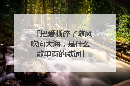 把爱撕碎了随风吹向大海，是什么歌里面的歌词