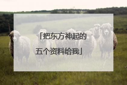 把东方神起的五个资料给我