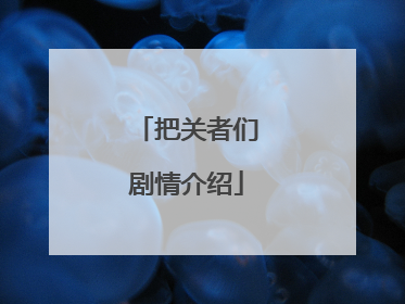 把关者们剧情介绍