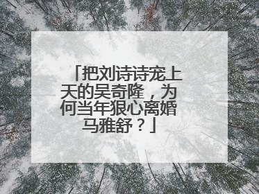 把刘诗诗宠上天的吴奇隆,为何当年狠心离婚马雅舒?