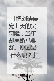 把刘诗诗宠上天的吴奇隆，当年却离婚马雅舒。原因是什么呢？