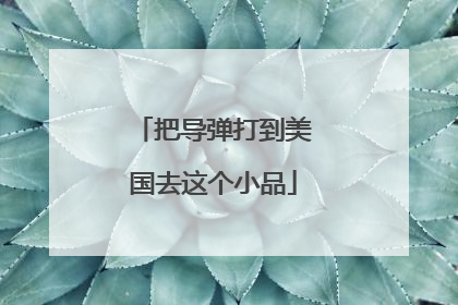 把导弹打到美国去这个小品