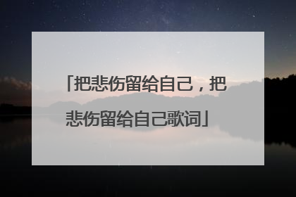 把悲伤留给自己，把悲伤留给自己歌词