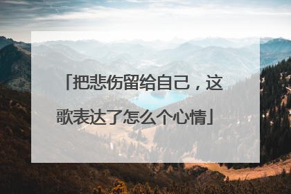 把悲伤留给自己,这歌表达了怎么个心情