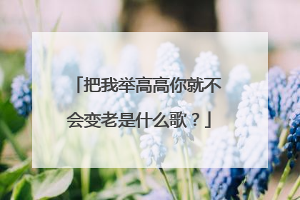 把我举高高你就不会变老是什么歌?