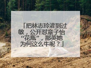 把林志玲灌到过敏,公开怼章子怡“花瓶”,那英她为何这么牛呢?