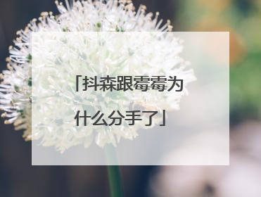 抖森跟霉霉为什么分手了