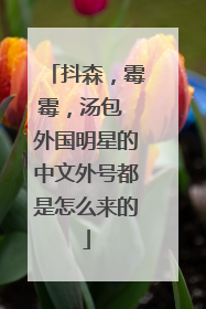 抖森,霉霉,汤包 外国明星的中文外号都是怎么来的