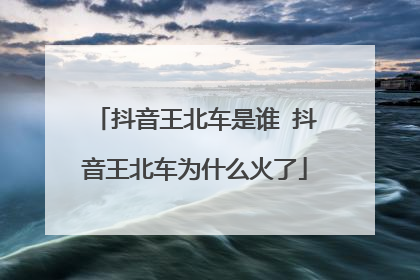抖音王北车是谁 抖音王北车为什么火了