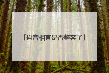 抖音相宜是否整容了