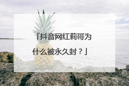 抖音网红莉哥为什么被永久封？