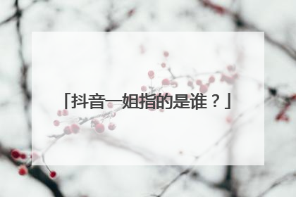 抖音一姐指的是谁?