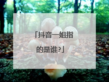 抖音一姐指的是谁?