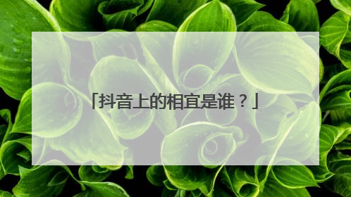 抖音上的相宜是谁？