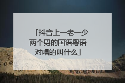 抖音上一老一少两个男的国语粤语对唱的叫什么