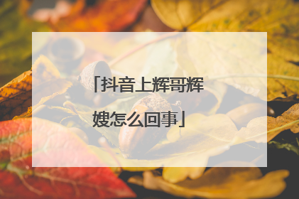 抖音上辉哥辉嫂怎么回事