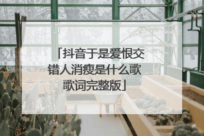 抖音于是爱恨交错人消瘦是什么歌歌词完整版