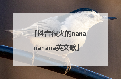 抖音很火的nanananana英文歌