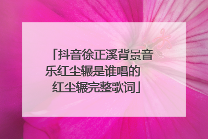 抖音徐正溪背景音乐红尘辗是谁唱的 红尘辗完整歌词