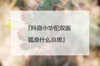 抖音小华佗双面狐是什么意思