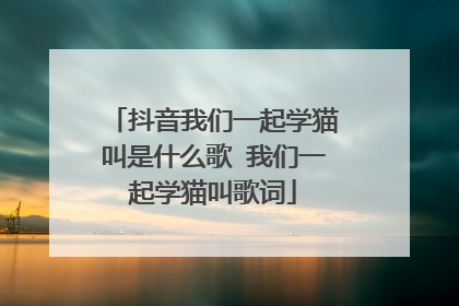 抖音我们一起学猫叫是什么歌 我们一起学猫叫歌词