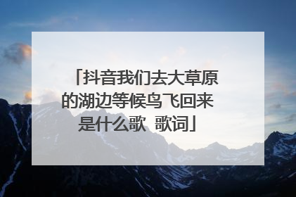 抖音我们去大草原的湖边等候鸟飞回来是什么歌 歌词