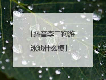 抖音李二狗游泳池什么梗