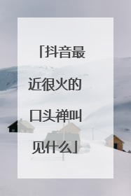 抖音最近很火的口头禅叫见什么