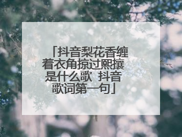 抖音梨花香缠着衣角掠过熙攘是什么歌 抖音歌词第一句