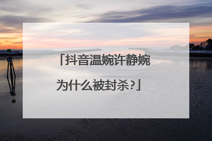 抖音温婉许静婉为什么被封杀?