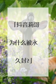 抖音莉哥为什么被永久封?