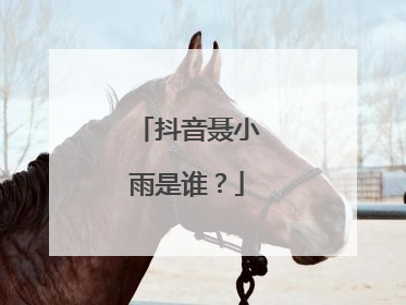 抖音聂小雨是谁?