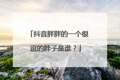 抖音胖胖的一个很逗的胖子是谁?
