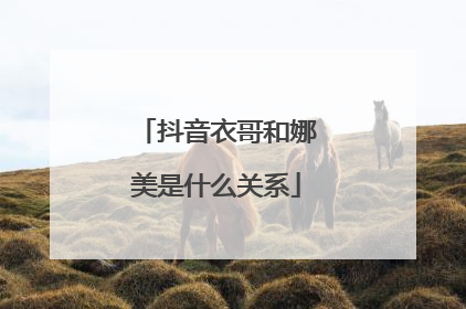 抖音衣哥和娜美是什么关系