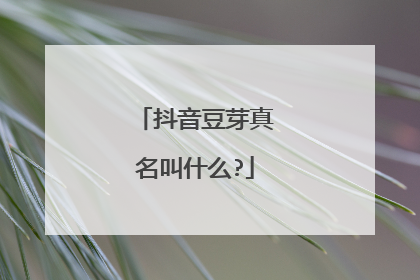 抖音豆芽真名叫什么?