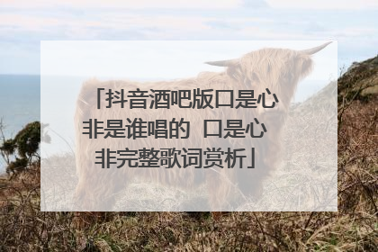 抖音酒吧版口是心非是谁唱的 口是心非完整歌词赏析