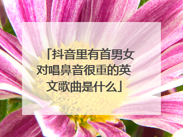 抖音里有首男女对唱鼻音很重的英文歌曲是什么