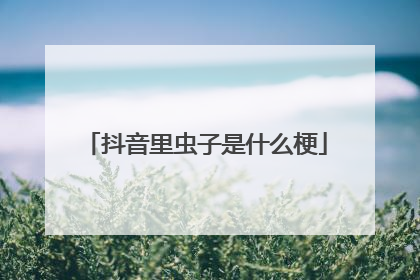 抖音里虫子是什么梗