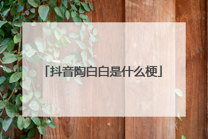 抖音陶白白是什么梗