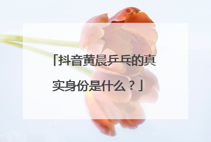 抖音黄晨乒乓的真实身份是什么?