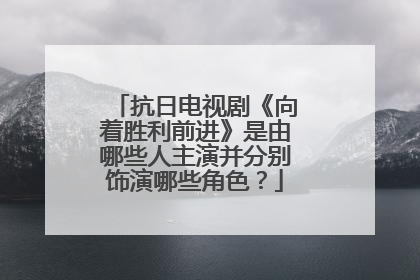 抗日电视剧《向着胜利前进》是由哪些人主演并分别饰演哪些角色？