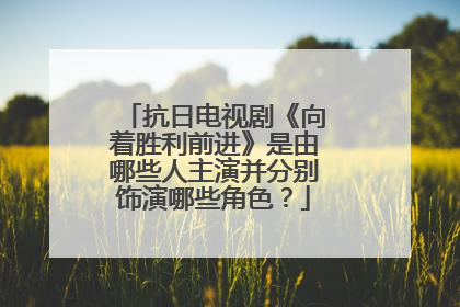 抗日电视剧《向着胜利前进》是由哪些人主演并分别饰演哪些角色？